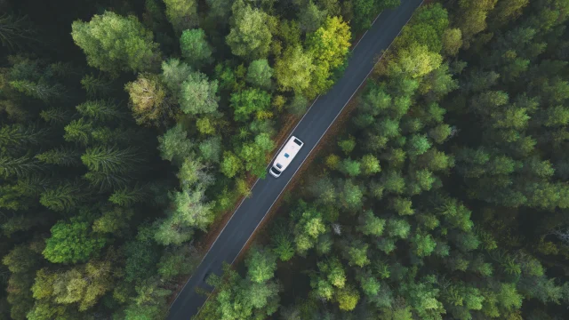 Adobestock 475882697