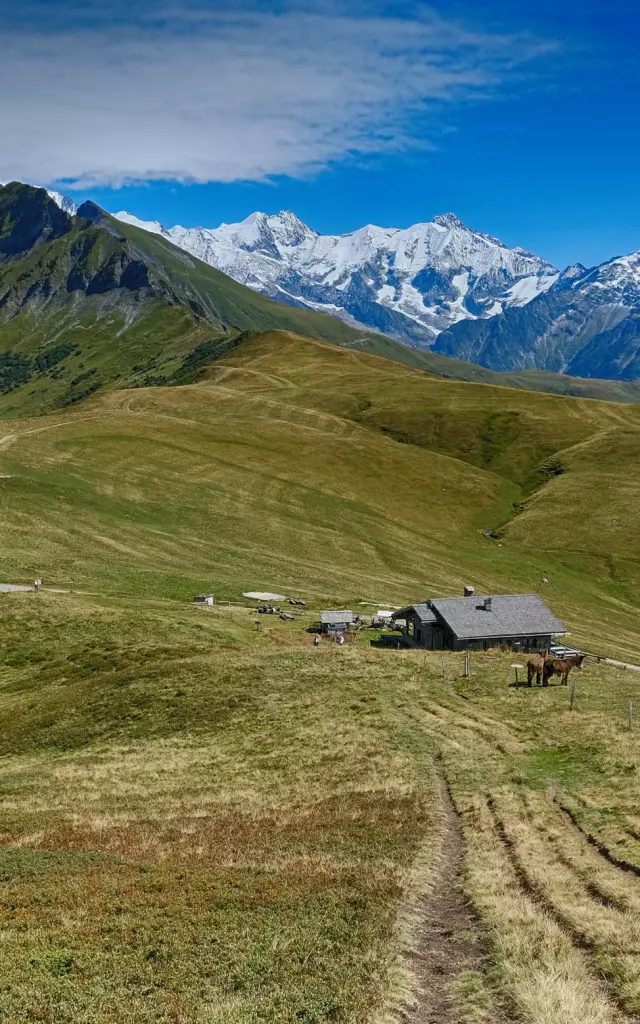 Refuge_de_la_Croix_de_Pierre_@_Col_de_Véry_(51037018612)