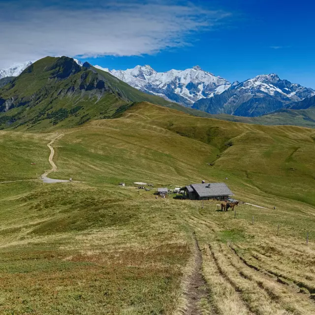 Refuge De La Croix De Pierre @ Col De Véry (51037018612)