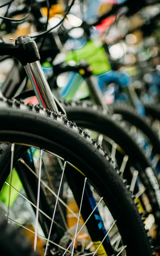 Location VTT et VAE Les Saisies