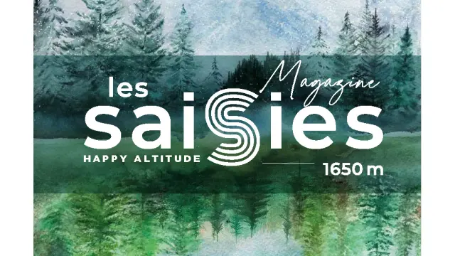 Saisies Numero3 Bd Double Page 01