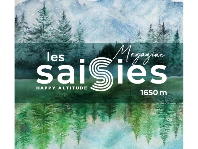 Saisies Numero3 Bd Double Page 01