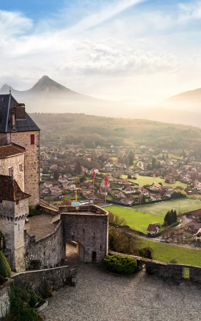 Adobestock 561479400