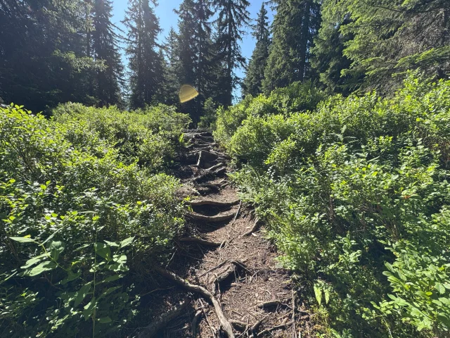 Sentier des Arpelières