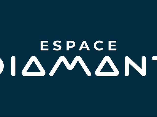 Logo Espacediamant 20 Ans Plan De Travail 1 01 1