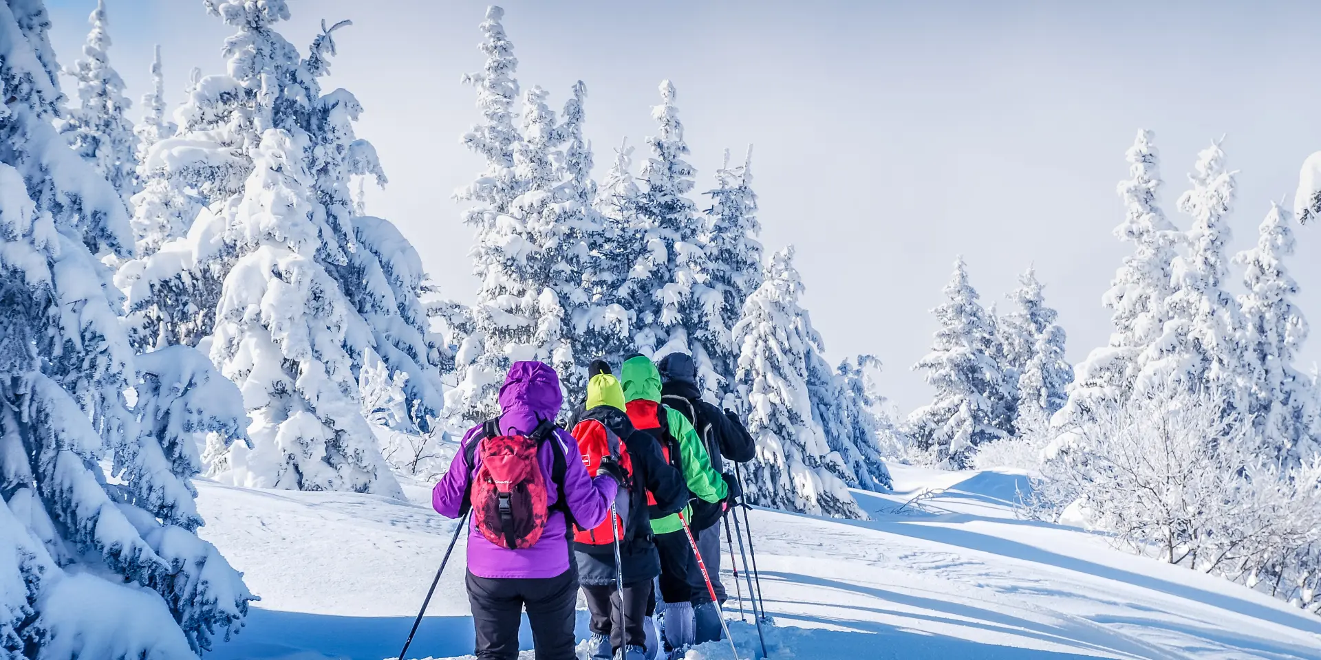 Randonnée Raquettes aux Saisies