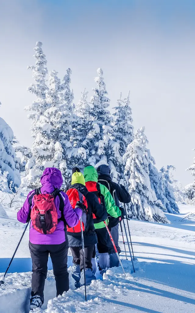 Randonnée Raquettes aux Saisies