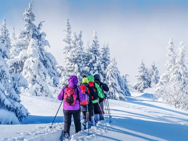 Randonnée Raquettes aux Saisies