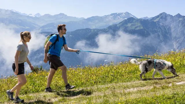 Randonnee Ete 2024hiking Astra 1015 1900px