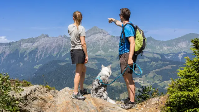 Randonnee Ete Cani Rando