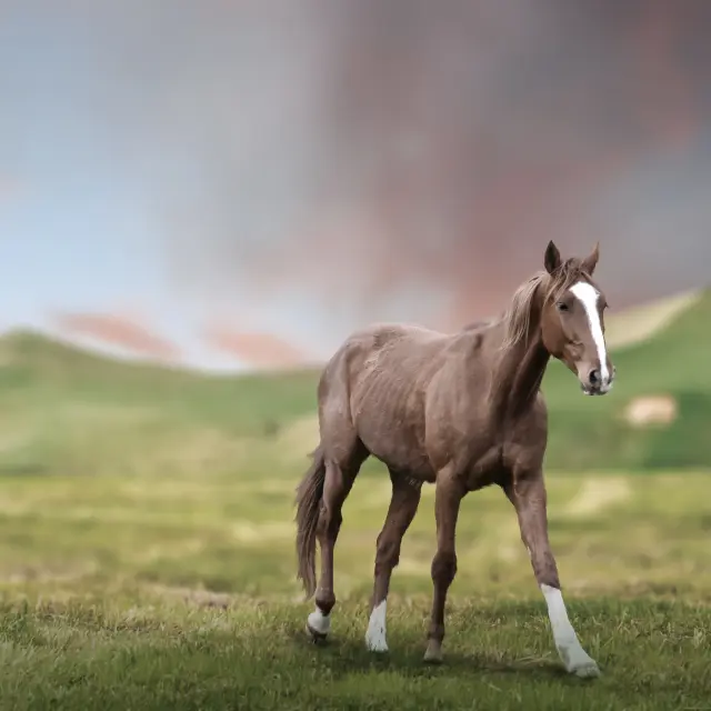 horse in green fields and mountains landscape.