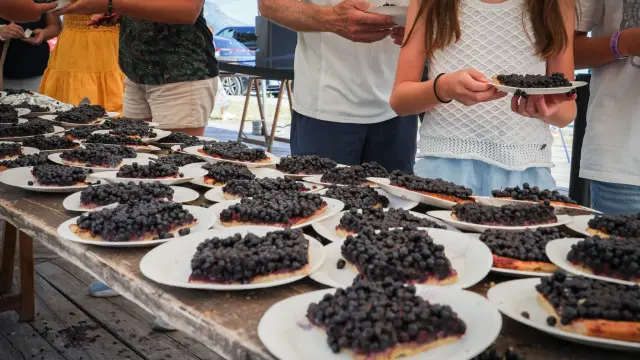 Fête de la myrtille 2026 à BIsanne 1500