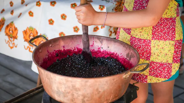 Fête de la myrtille 2026 à BIsanne 1500