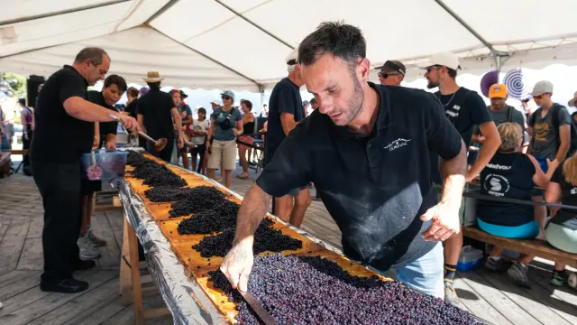 Fête de la myrtille 2026 à BIsanne 1500