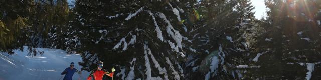 7-laux-ski-nordique -prapoutel