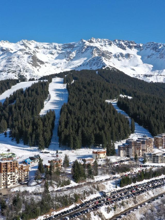 Prapoutel / Les 7 Laux : vue aérienne sur la station de Prapoutel