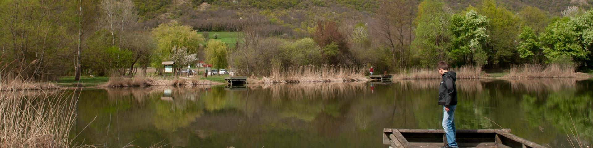 Marais De Montfort1 (laurent Chaix® Images Et Reves.com) Bd