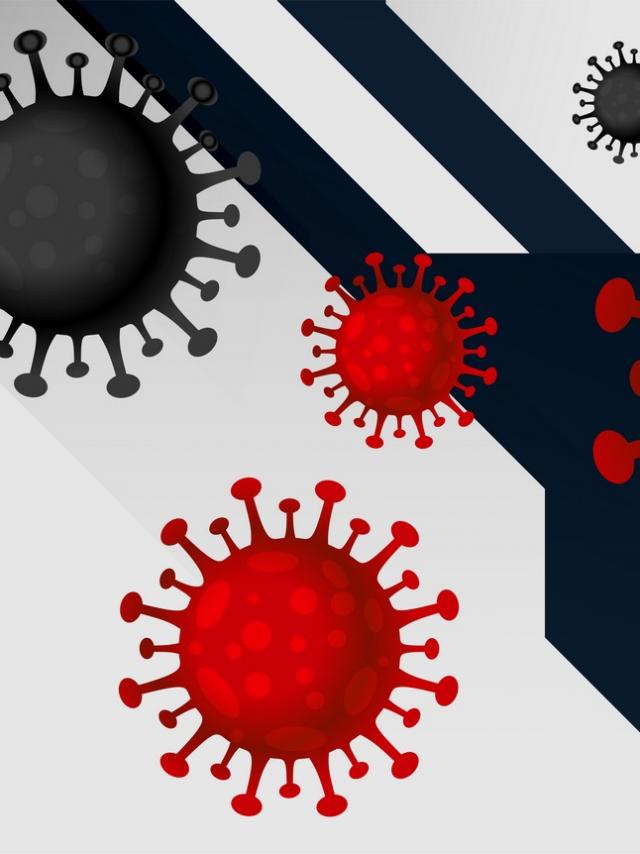 coronavirus covid-19