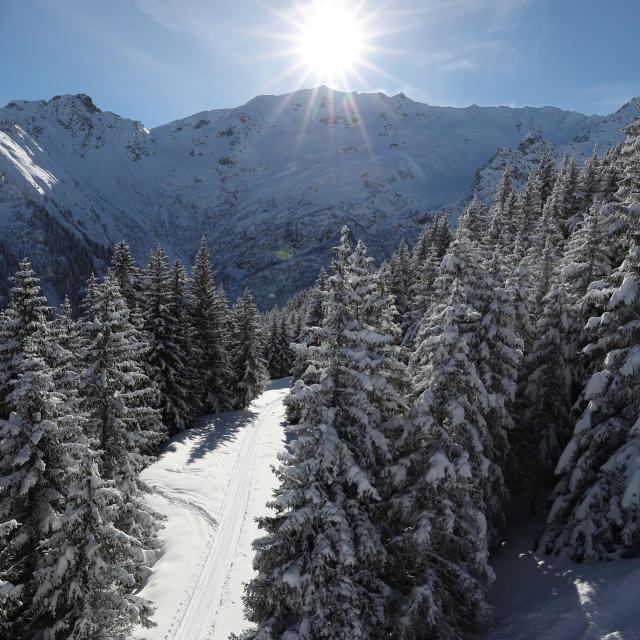 Piste Les 7 Laux en Hiver