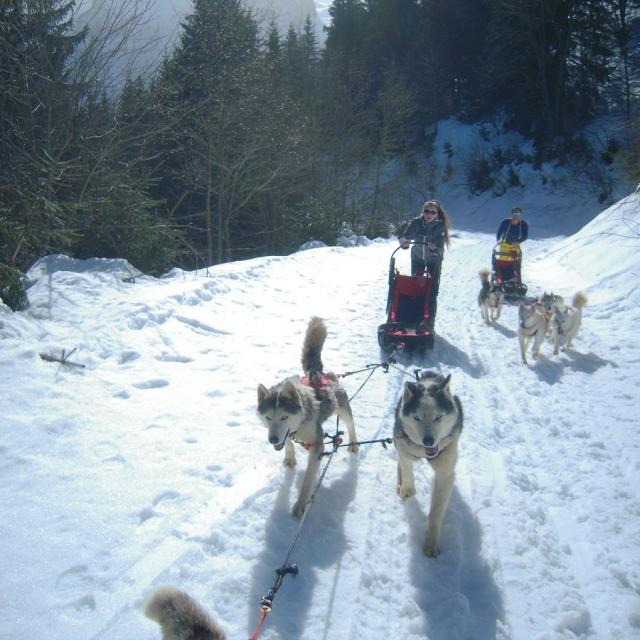Initiation Mushing