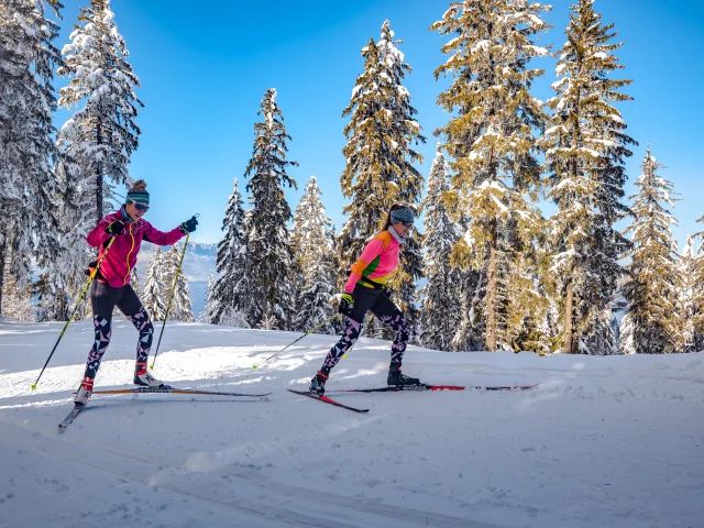 Ski domaine nordique - Michael mollier - 7 Laux
