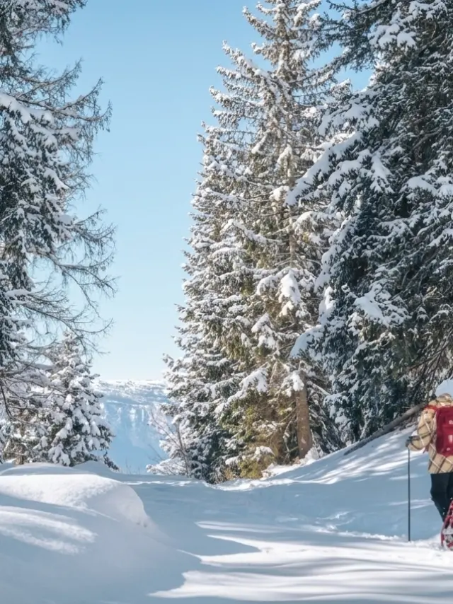 Raquette au Collet d'Allevard, paysage enneigé