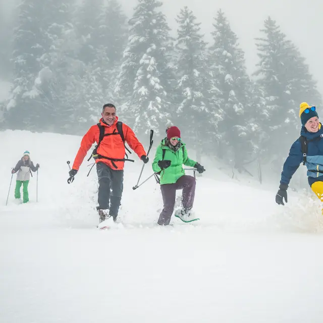 2020 Les 7 Laux Snowshoeing Michael Mollier 189