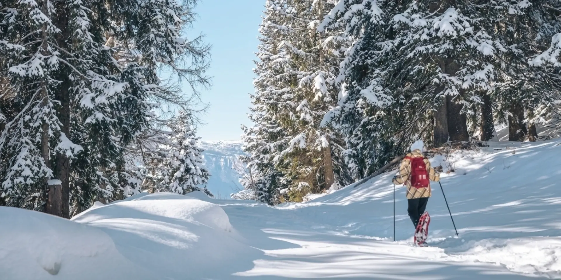 Gemini Generated Image Hngjmqhngjmqhngj