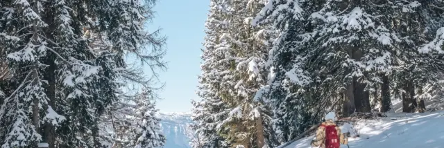 Raquette au Collet d'Allevard, paysage enneigé