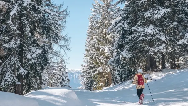 Gemini gegenereerde afbeelding Hngjmqhngjmqhngj