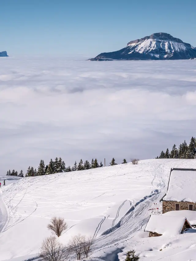 Vue sur le domaine des 7 Laux, par Alain Doucé, 2024