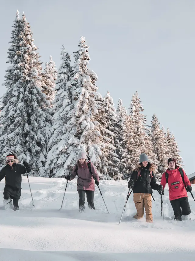 2022 12 20 Lesgets Raquettes Neige Fraiche Chavannes Amis 81 Cpcorentincroisonnier Ld