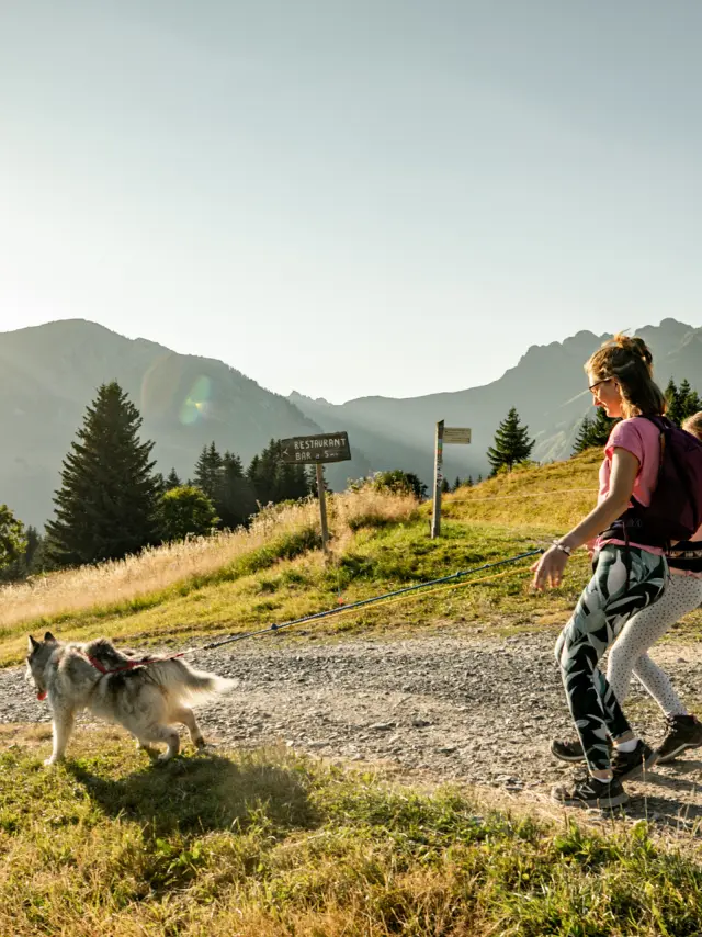 2022 07 21 Cani Rando Ete Les Gets La Patte Nordic Cplaurabureau 41 Ld