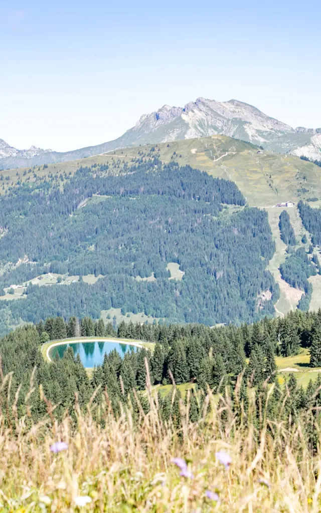2022 07 11 Paysage Roc D Enfer Lesgets Cplaurabureau 08 Ld