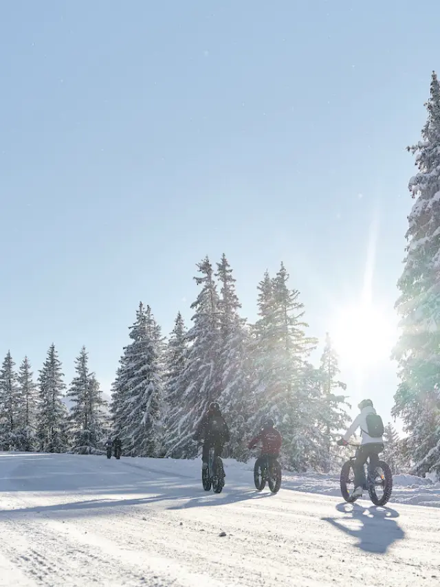 Franse Alpen 22 // beeldselectie