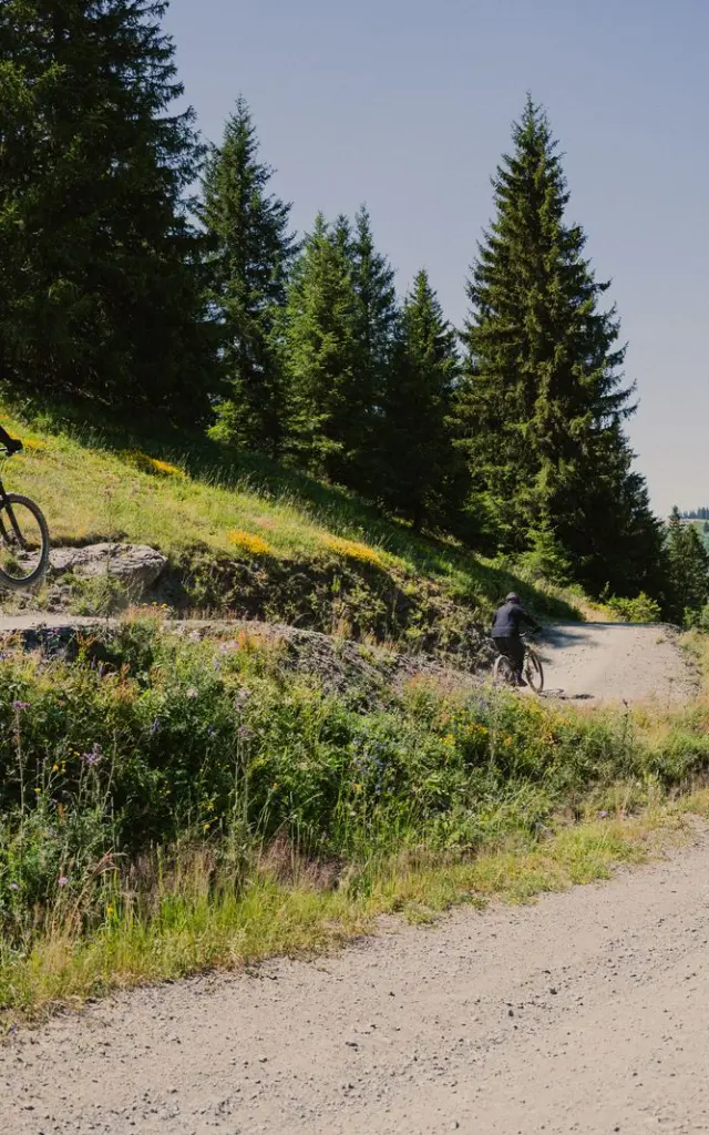 Photo L arpette Piste Bleue - Les Gets Bikepark