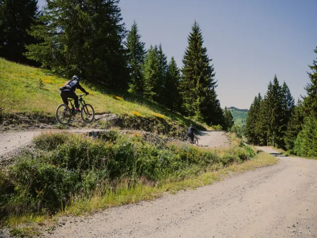 Photo L arpette Piste Bleue - Les Gets Bikepark