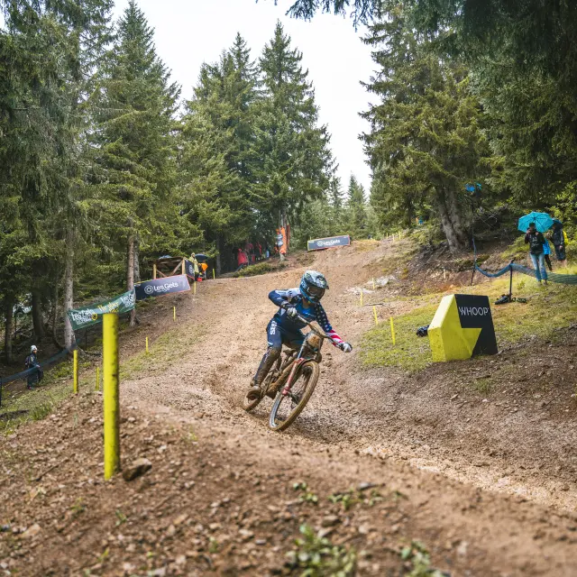 2026 08 21 Q1 Dhi Cdm Cp Thomas Sallaberry Ld 08