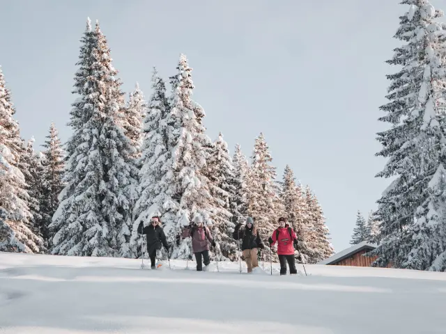 20 December 2022 Lesgets Snowshoes Fresh Snow Chavannes Friends 80 Cpcorentincroisonnier Ld