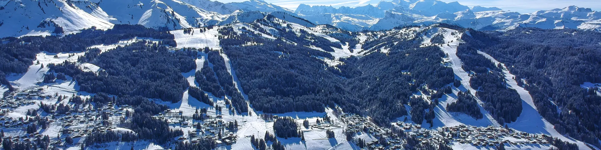 DCIM/100MEDIA/DJI_0535.JPG