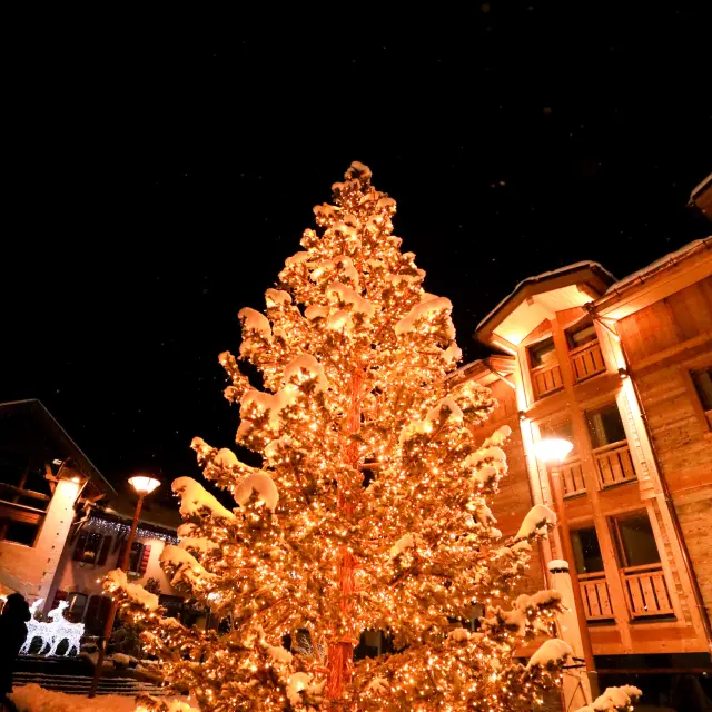 15 december 2024 Kerstmarkt Kerstsfeer CP Marie Tardy HD 01