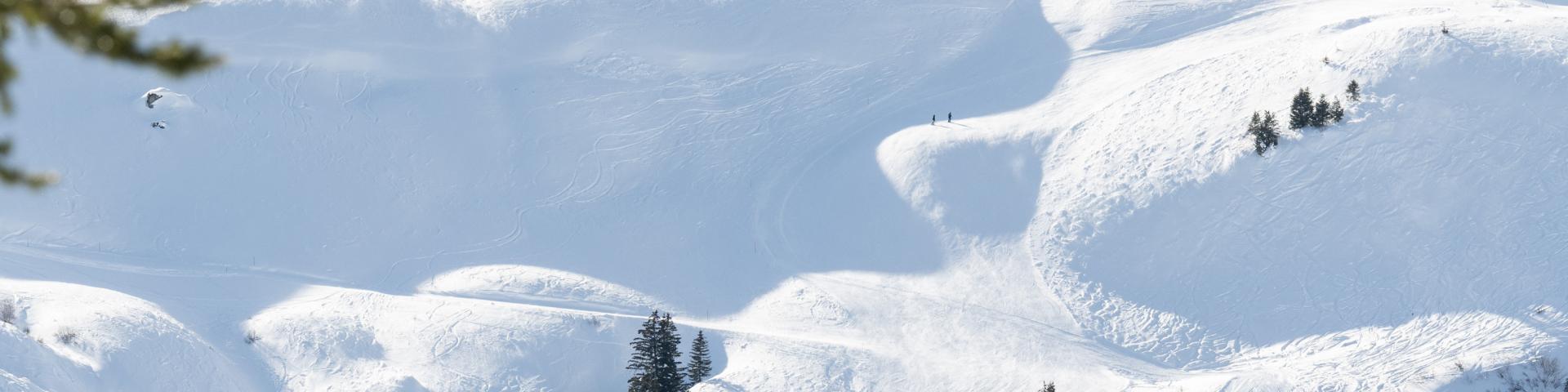 Les Crosets Cp Litescapemedia (6)(1)