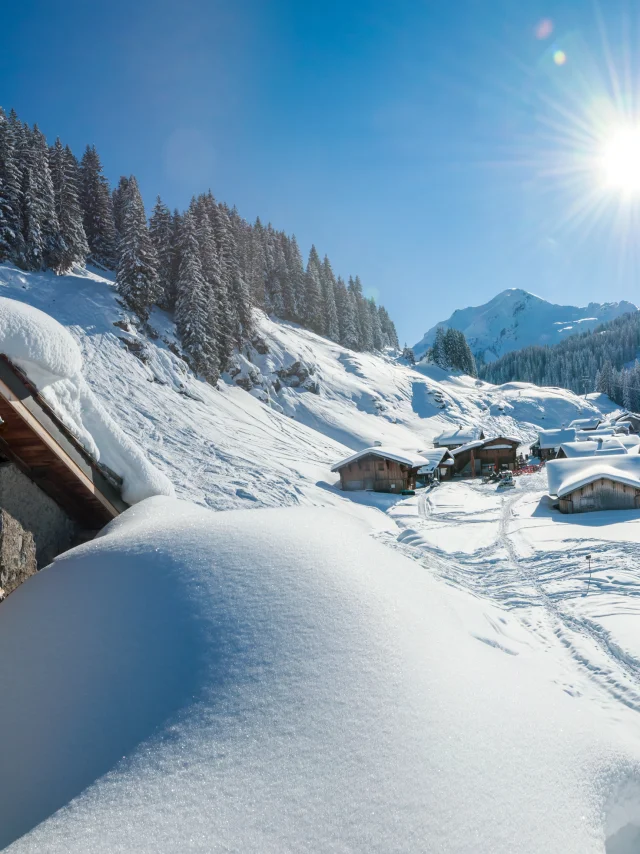 Lindarets Jan16 (16)