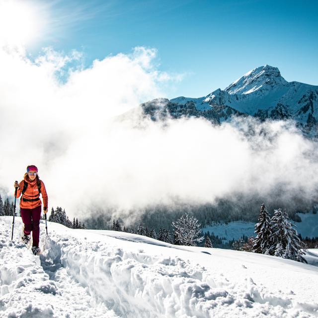 Chatel L. Meyer Schläger 20201213 11