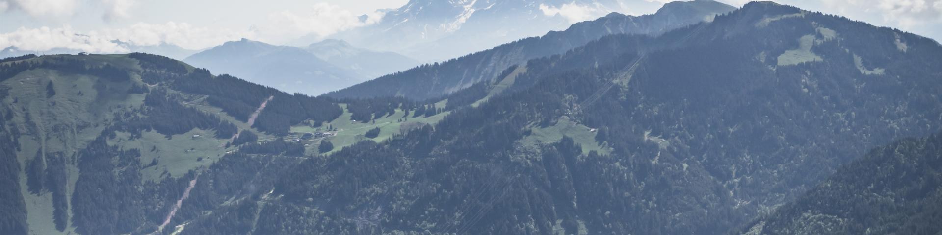 Dns 4291