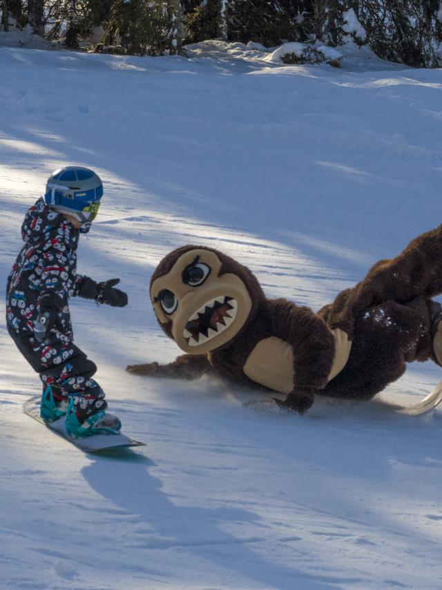 Fisher Avoriaz 1800 (3)