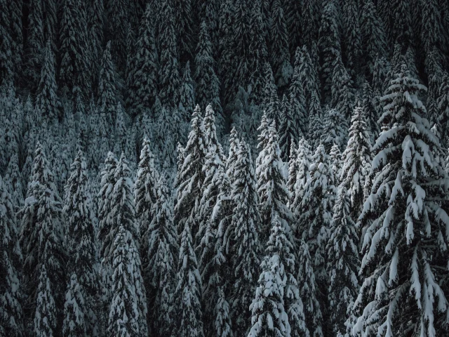 Oliver Godbold Photo Oliver Godbold Photo 48a9472