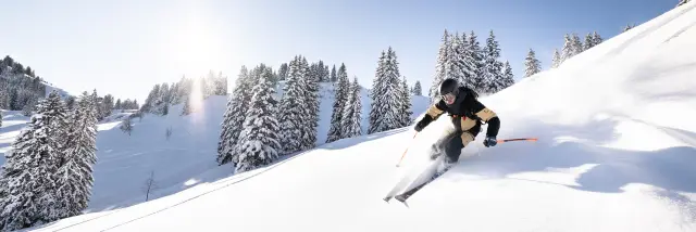 @evoqprojet evoq.projet@gmail.com