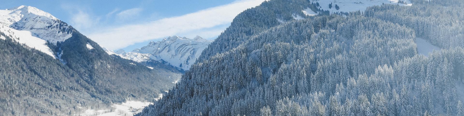 5 Winter Station @vtlphoto
