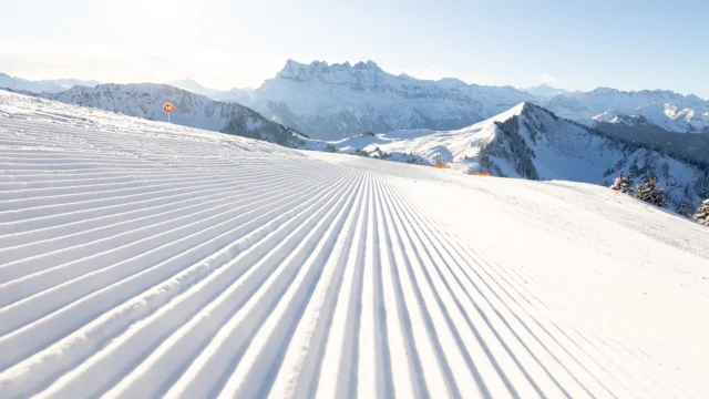 R51l8163 Hd 1920px Web Evoq